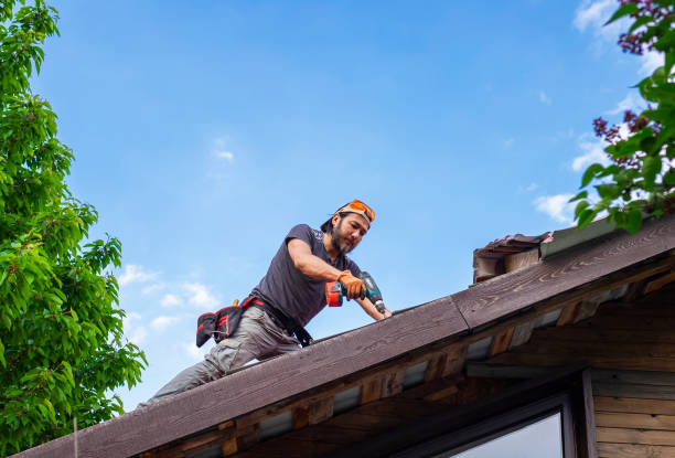 Professional Roofing and repair in Fellsmere, FL